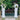 Plinths